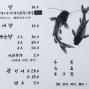 메기네어탕