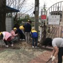 금호초교 이미지