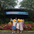 온천파크 | 다낭 우기 비올 때 누이딴따이 온천 머드스파 워터파크 후기 할인 가족여행 코스 추천 꿀팁