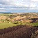 베스트팜 이미지