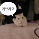오묘네일 이미지
