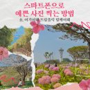 스마트폰 기초 및 활용 (초급) | 스마트폰으로 예쁜 사진 찍는 방법 궁금해 ? 여기어때 트립홀릭 함께어때