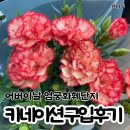 강변대로 | 엄궁화훼단지 카네이션 가격 구입 후기