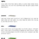 퍼니처월드 이미지