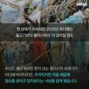 더벅머리 - 파주시 | 더벅머리