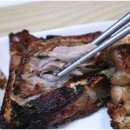 오다참치 이미지