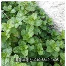 롯데인벤스家 이미지