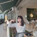 지비오