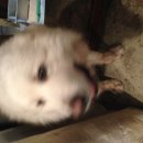 자유컴퓨터세탁 이미지