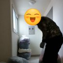 옷스토리