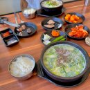 제주도청 | 제주도 막창순대 제주도청 맛집 비바리순댓국 아쉬운 솔직후기