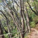 문현4동 체육공원 네이버블로그