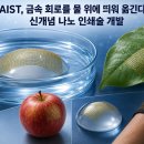 나노
