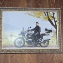 일품칼국수옥계양포점 | [바다의 보약]한 그릇 초록색 면 매생이 칼국수