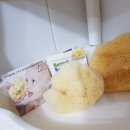 주식회사 네츄럴프로 이미지