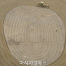 새단장봄단장 이미지