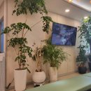 미소외과의원 이미지