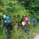 봉수면사무소 이미지