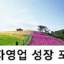 인트로 이미지