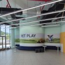 선샤인 반려견 유치원 이미지