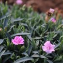 안산골농촌체험마을 이미지