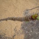 두성농장 이미지