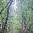 칠천량해전길 이미지