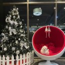 발넷이야 이미지