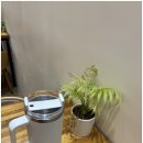 제이에스앤코