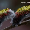 강릉OK스크린골프 이미지