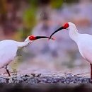 김영식공인중개사사무소 이미지