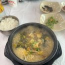 중앙탑고등학교 | 19회 충주 앙성 비내길 마라톤 후기