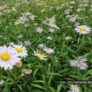 송백펜션 이미지