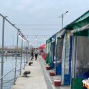 학리2(방파제) 이미지