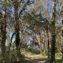 커피 이십센치 수영점 | 오후 네 시 이십 분 경의 햇살