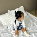 15개월 아기랑 일본 후쿠오카 2박 3일 여행 2 (하카타역 에키벤또, TRAINDOR, 유후인노모리, 유노츠보...