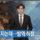 청정한우농장 티스토리