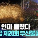 이거 실화에요(광안리불꽃축제ㅡ역대급 사람들) 이미지