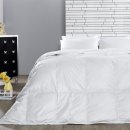 가나안세탁 이미지