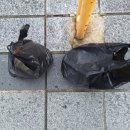 공원칼국수 이미지