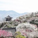 섬진소프트 이미지