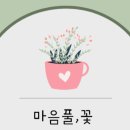부부가 만드는 식탁