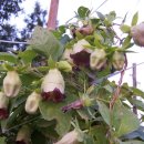 사계절 농장 이미지