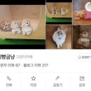 굽냥