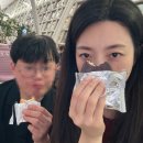 여행자의노래 | 유나이티드 항공 비행기 연착 결항&amp;보상후기 및 여행자보험 청구방법