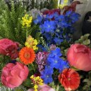 보태니컬 플랜(Botanical Plan) 이미지
