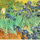 마이산 흑염소 농장 이미지