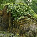 지혜의 심리학 이미지