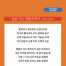 답을아는 세월속에서 (성천 김성수) 생일축하시 생일선물 이미지