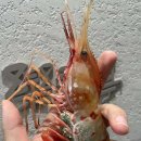 태연8289 풀 리조트 이미지